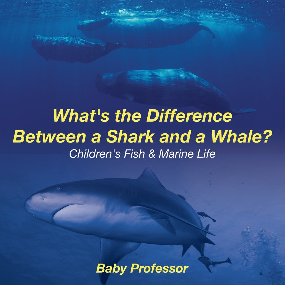 Whats the Difference Between a Shark and a Whale | Childrens Fish & Marine Life
