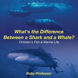 Whats the Difference Between a Shark and a Whale | Childrens Fish & Marine Life