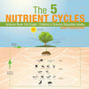 The 5 Nutrient Cycles - Science Book 3rd Grade | Childrens Science Education books