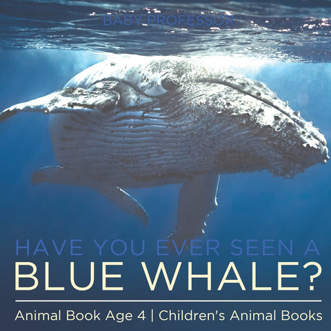 Have You Ever Seen A Blue Whale Animal Book Age 4 | Childrens Animal Books