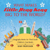 What Makes Little Hong Kong Big to the World Geography Books for Third Grade | Childrens Asia Books
