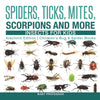 Spiders Ticks Mites Scorpions and More | Insects for Kids - Arachnid Edition | Childrens Bug & Spider Books