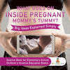 What Goes On Inside Pregnant Mommys Tummy Big Ideas Explained Simply - Science Book for Elementary School | Childrens Science Education