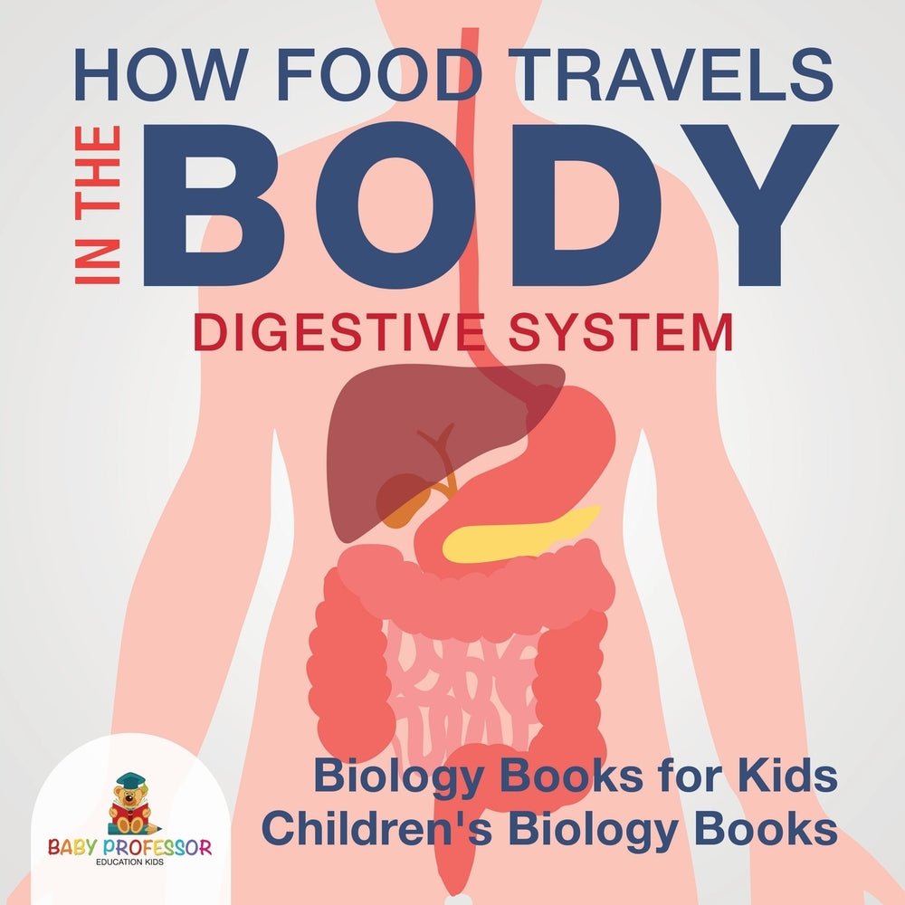 How Food Travels In The Body - Digestive System - Biology Books for Kids | Children's Biology Books