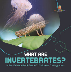 What Are Invertebrates? | Animal Science Book Grade 3 | Children's Zoology Books