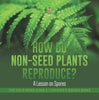 How Do Non-Seed Plants Reproduce? A Lesson on Spores | Life Cycle Books Grade 5 | Children's Biology Books