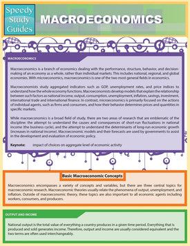 Macroeconomics (Speedy Study Guides)