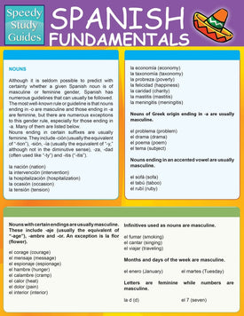 Spanish Fundamentals 1 (Speedy Study Guides: Academic)