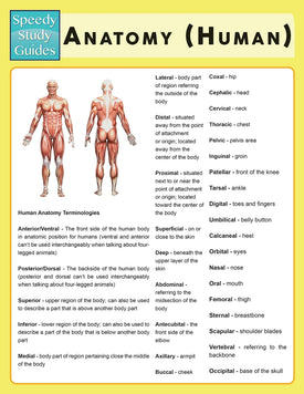 Anatomy (Human) (Speedy Study Guide)