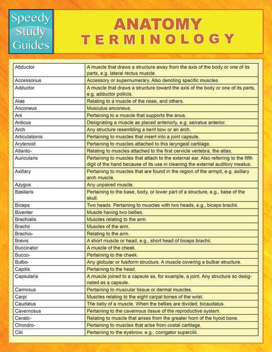 Anatomy Terminology (Speedy Study Guides)
