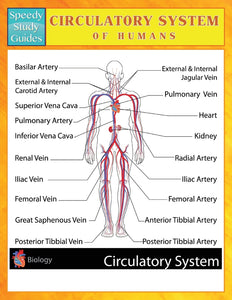 Circulatory System of Humans (Speedy Study Guides)