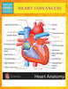 Heart (Advanced) (Speedy Study Guides)