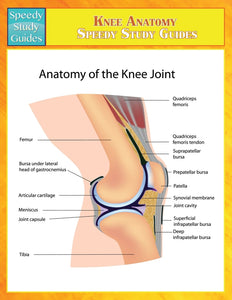 Knee Anatomy (Speedy Study Guides)