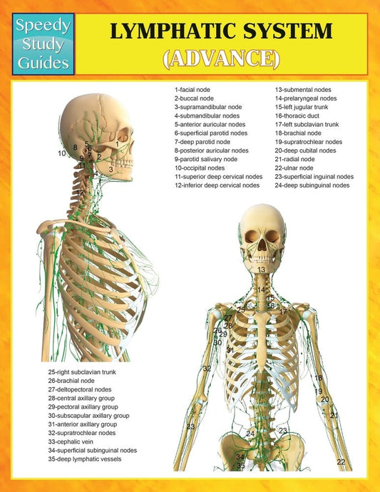 Lymphatic System (Advanced) (Speedy Study Guides)