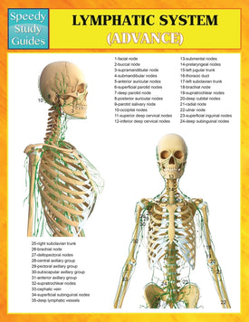 Lymphatic System (Advanced) (Speedy Study Guides)