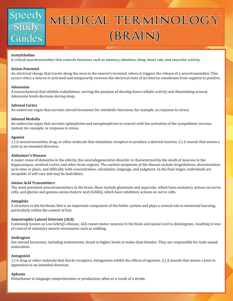 Medical Terminology: Brain (Speedy Study Guides)