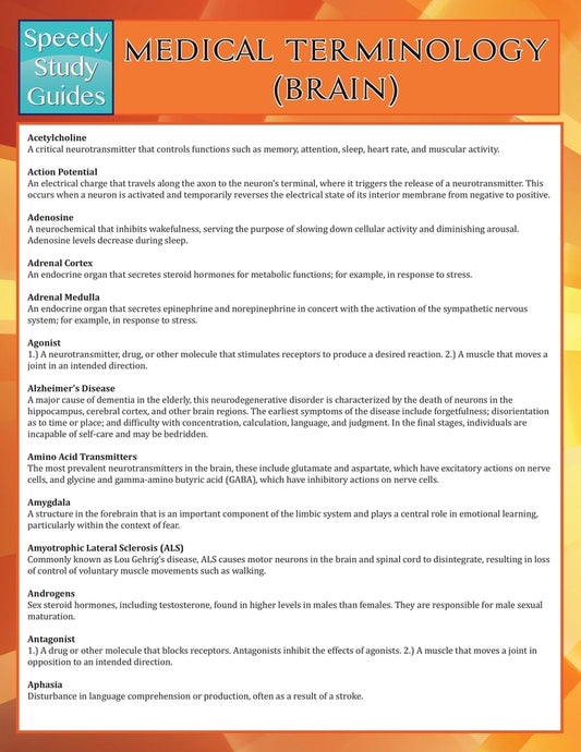 Medical Terminology: Brain (Speedy Study Guides)