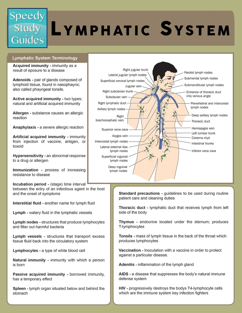 Lymphatic System (Speedy Study Guide)
