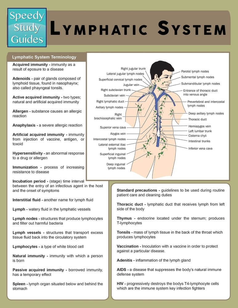 Lymphatic System (Speedy Study Guide)