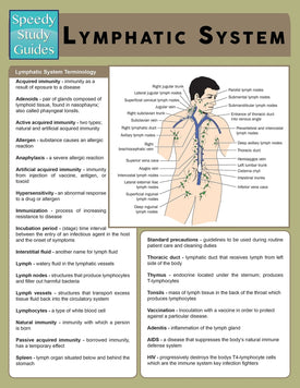 Lymphatic System (Speedy Study Guide)