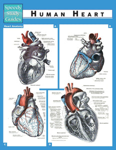 Human Heart (Speedy Study Guide)