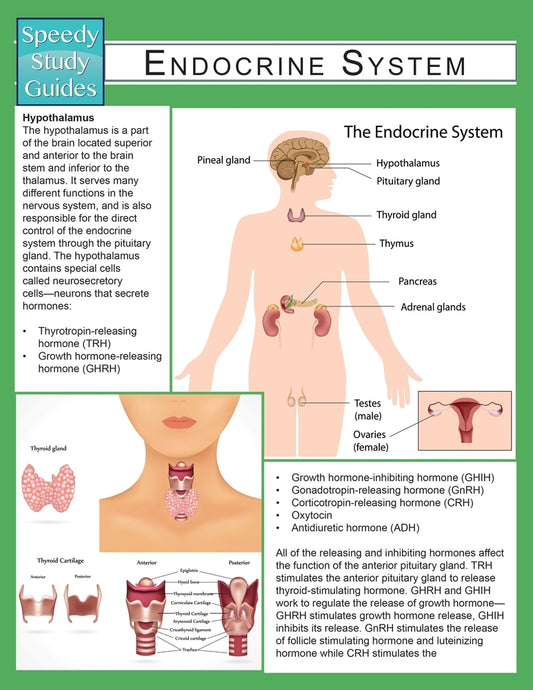 Endocrine System (Speedy Study Guide)