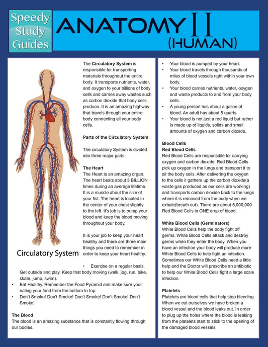 Anatomy II (Human) (Speedy Study Guide)