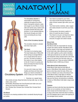 Anatomy II (Human) (Speedy Study Guide)