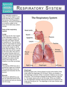 Respiratory System (Speedy Study Guide)