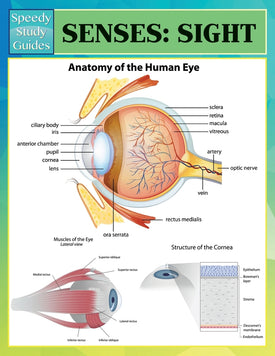 Senses: Sight (Speedy Study Guides)