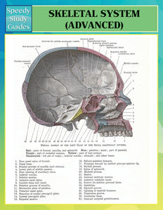 Skeletal System Advanced (Speedy Study Guides)