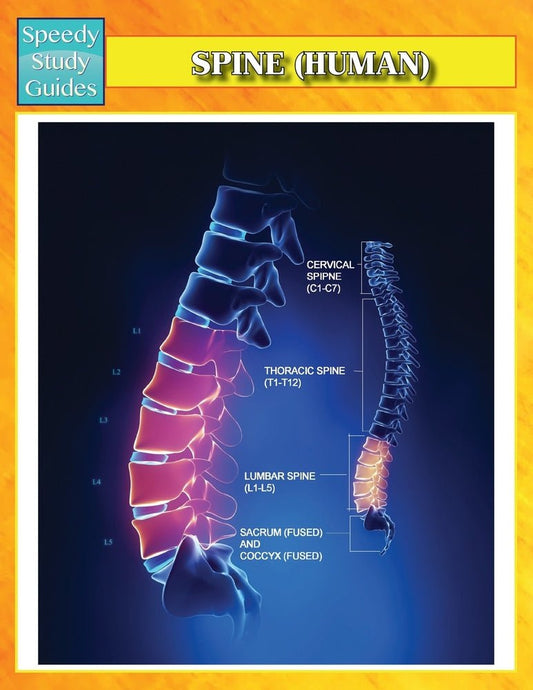 Spine (Human) (Speedy Study Guides)