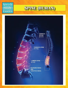 Spine (Human) (Speedy Study Guides)