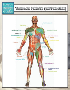 Trigger Points (Advanced) (Speedy Study Guides)