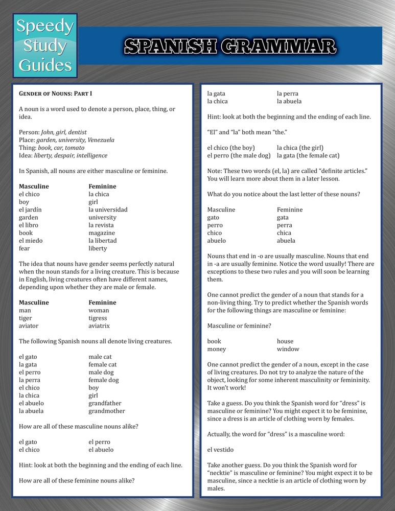 Spanish Grammar (Speedy Study Guides)