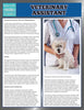 Veterinary Assistant (Speedy Study Guides)