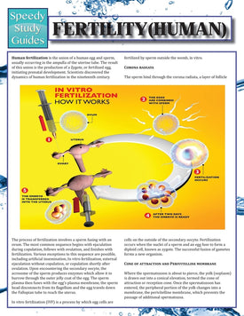 Fertility (Human)