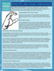 American Sign Language (Speedy Study Guide)