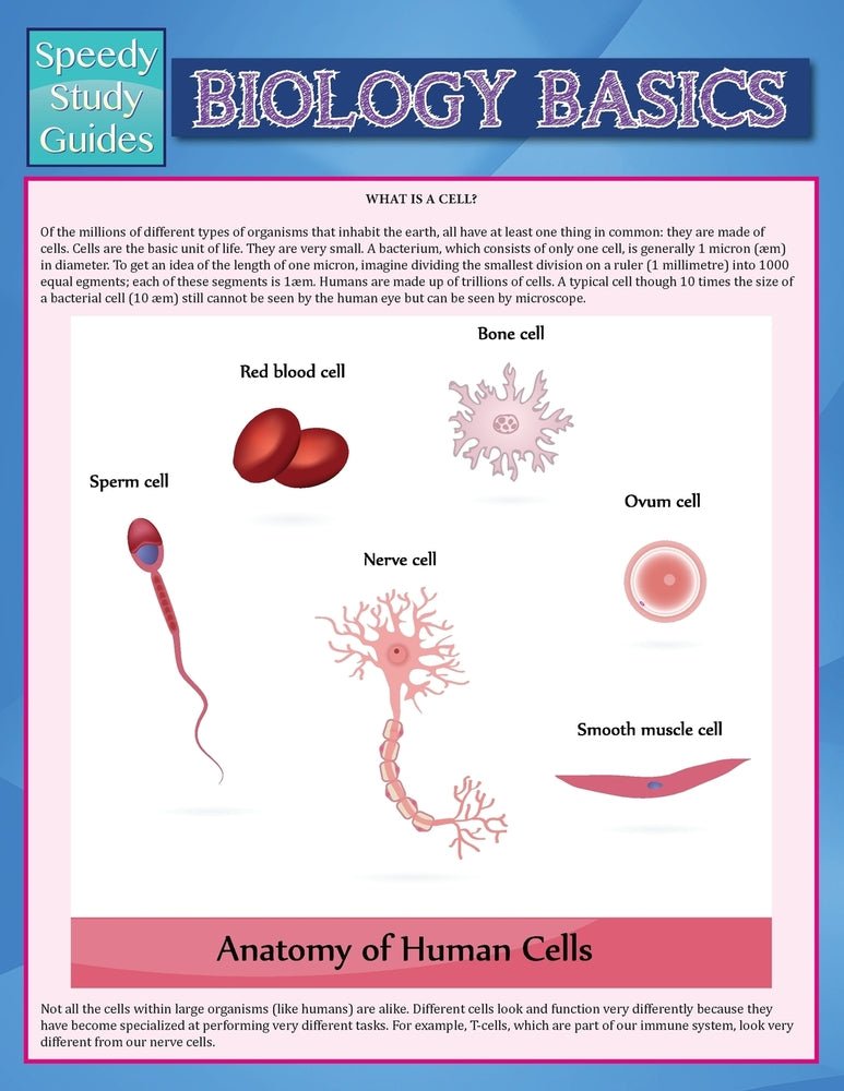 Biology Basics  (Speedy Study Guide)