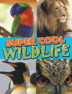 Super Cool Wildlife