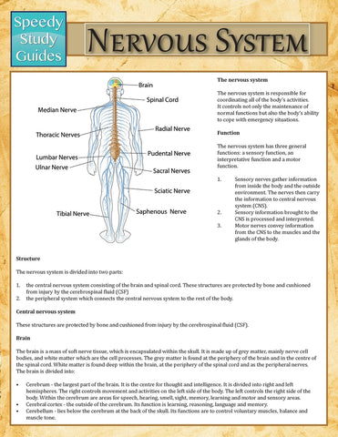 Nervous System (Speedy Study Guide)