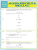 Algebra Principles And Formulas 2 (Speedy Study Guides)