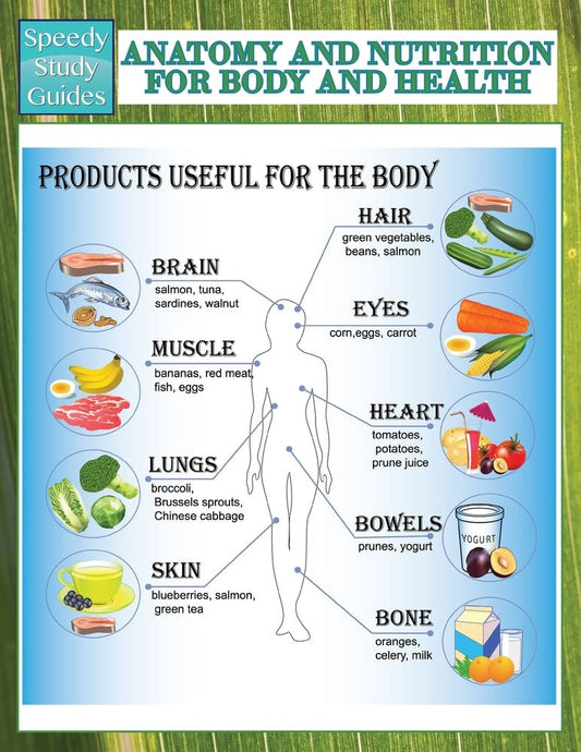 Anatomy And Nutrition For Body And Health (Speedy Study Guides)