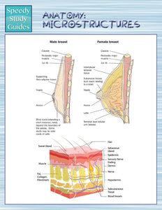 Anatomy: Microstructures (Speedy Study Guides)