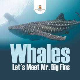 Whales - Lets Meet Mr. Big Fins