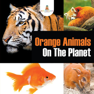 Orange Animals On The Planet