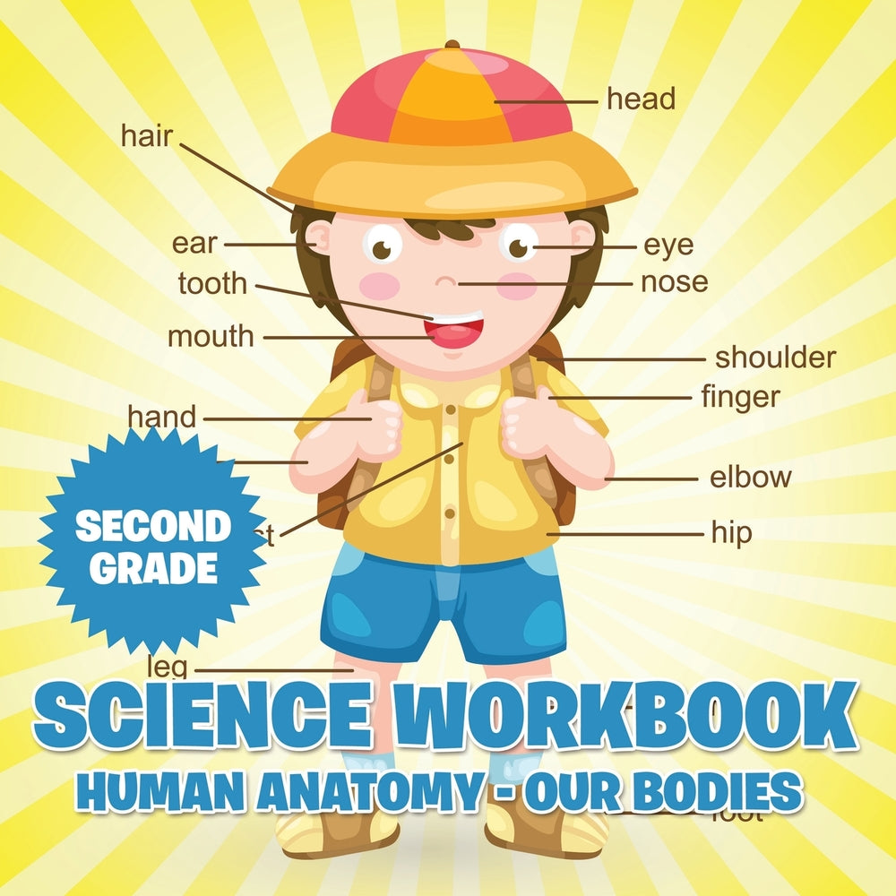 Second Grade Science Workbook: Human Anatomy - Our Bodies