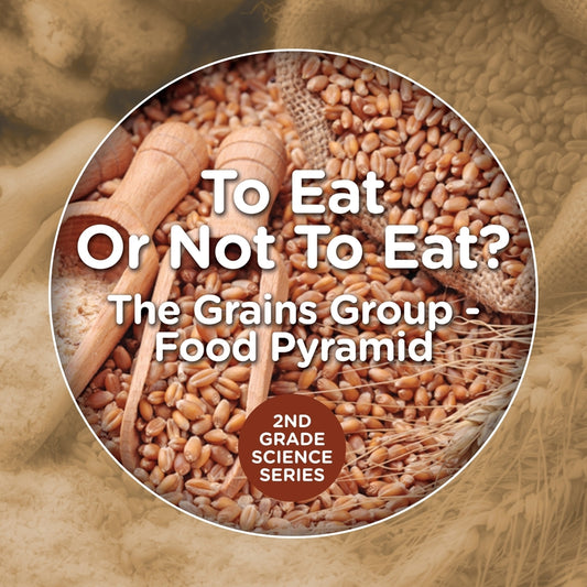 To Eat Or Not To Eat?  The Grains Group - Food Pyramid: 2nd Grade Science Series