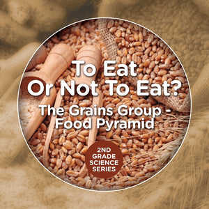 To Eat Or Not To Eat The Grains Group - Food Pyramid: 2nd Grade Science Series