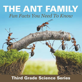 The Ant Family - Fun Facts You Need To Know : Third Grade Science Series